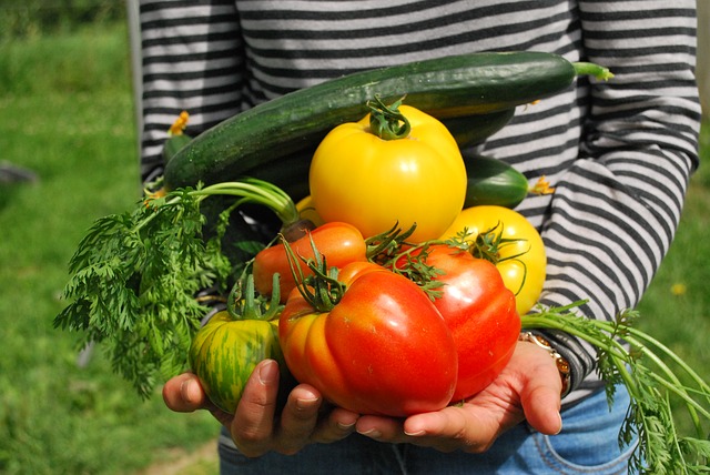 vegetables-742095_by_jf-gabnor_pixabay_lizenz_cc0